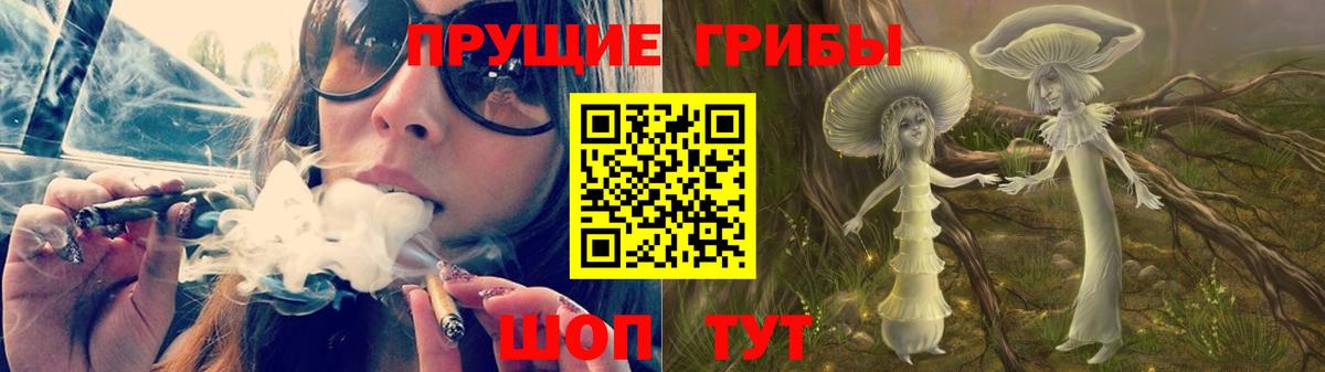 Псилоцибиновые грибы мицелий  Вход с VPN  Псилоцибиновые грибы прущие грибы  Биробиджан 